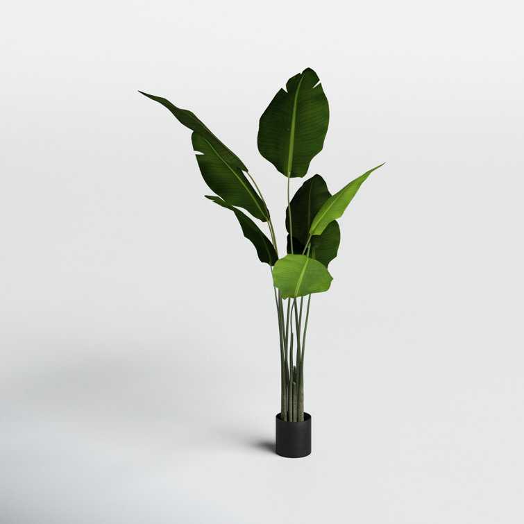 The Twillery Co. 5' Artificial Potted Travellers Palm Tree & Reviews